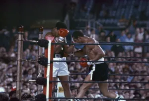 Action during the heavyweight world title fight between Muhammad Ali Action during the heavyweight world title fight between Muhammad Ali