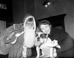 Actress Dulcie Gray recieves a cheque from a bulldog watched by Major F N L Chapman Actress Dulcie Gray recieves a cheque from a bulldog watched by Major F N L Chapman