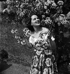 Actress Lisa Daniely seen here amongst the blossom at Shepperton film studios Actress Lisa Daniely seen here amongst the blossom at Shepperton film studios