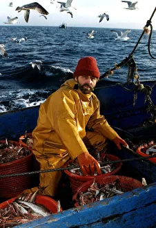 Alan McCreath fisherman on boat skipper circa 1996 Alan McCreath fisherman on boat skipper circa 1996