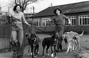 Amanda Davies and Denise Muiraney exercise some greyhounds at Cleveland Park Stadium in Amanda Davies and Denise Muiraney exercise some greyhounds at Cleveland Park Stadium in
