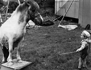 Animals: Children and Horses. June 1971 P000487 Animals: Children and Horses. June 1971 P000487