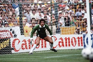 Argentina v Brazil 1982 World Cup match Goalkeeper Fillol of Argentina in Argentina v Brazil 1982 World Cup match Goalkeeper Fillol of Argentina in