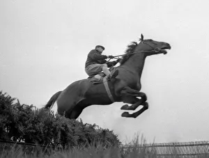 Arkle seen training for the 1966 Cheltenham Gold Cup - March 1966 Arkle seen training for the 1966 Cheltenham Gold Cup - March 1966