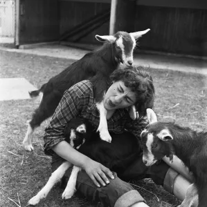 Attendant with young goats at the Children's Pets Corner, Festival Gardens Attendant with young goats at the Children's Pets Corner, Festival Gardens