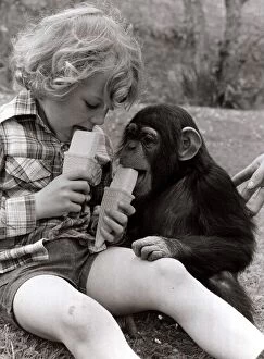Images Dated 1st June 1978: A Baby Chimp and young Sasha Addley, cool off in the hot weather