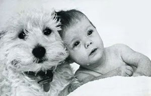 Baby Lucinda with her three year old West Highland terrier Haggis January 1976 Baby Lucinda with her three year old West Highland terrier Haggis January 1976