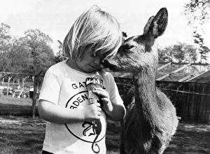 Bambi the deer and little girl Samantha. July 1977 P011901 Bambi the deer and little girl Samantha. July 1977 P011901