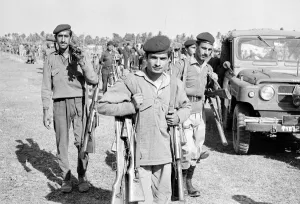 Bangladesh War of Independence 1971 Pakistani soldiers giving up their guns under Bangladesh War of Independence 1971 Pakistani soldiers giving up their guns under