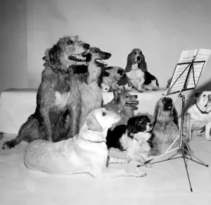 The Barking and Houndsditch Choral Society A new record is being released called The Barking and Houndsditch Choral Society A new record is being released called