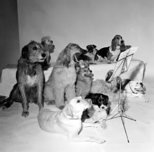 The Barking and Houndsditch Choral Society A new record is being released called The Barking and Houndsditch Choral Society A new record is being released called
