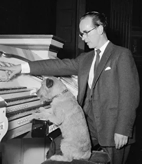 Barks organ concerto Sandy the dog seen here playing the organ while his master Barks organ concerto Sandy the dog seen here playing the organ while his master