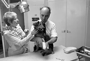 Battersea dogs home opens new wing. June 1970 70-5895-004 Battersea dogs home opens new wing. June 1970 70-5895-004