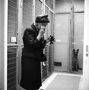 Battersea dogs home opens new wing. An old lady visitor burst out in tears and said " Battersea dogs home opens new wing. An old lady visitor burst out in tears and said "
