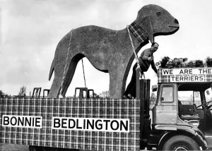 The Bedlington float entered in the Ashington Festival 1973. 12/05/73 The Bedlington float entered in the Ashington Festival 1973. 12/05/73