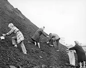 Big coal klondyke in Barmulloch Glasgow, as the local residents dig for coal in the bing Big coal klondyke in Barmulloch Glasgow, as the local residents dig for coal in the bing