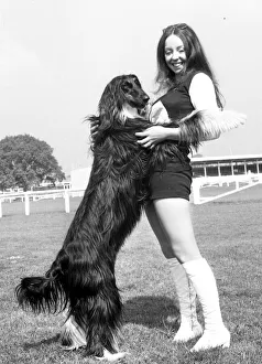 Birmingham Dog Society's national show at the National Agricultural Centre at Birmingham Dog Society's national show at the National Agricultural Centre at