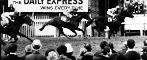 Blakeney racehorse winning the Derby from Shoemaker 2nd Blakeney racehorse winning the Derby from Shoemaker 2nd