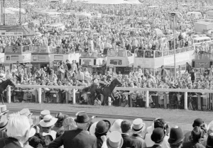 Blushing Groom No 3 seen here in the final furlong of the 1977 Derby Blushing Groom No 3 seen here in the final furlong of the 1977 Derby