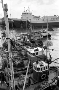 Boats: Port: Dock: Deckchairs: Newhaven. April 1975 75-1724-004 Boats: Port: Dock: Deckchairs: Newhaven. April 1975 75-1724-004