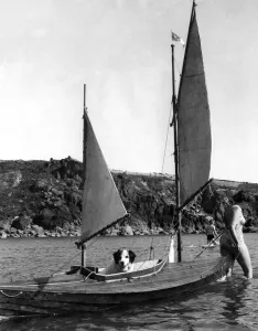 Bob the dog enjoys himself alone in the canoe towed along by friend Bob the dog enjoys himself alone in the canoe towed along by friend