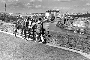 Bob Stobbart leads a Vaux Percheron out of the Breweries stables in 1986 Bob Stobbart leads a Vaux Percheron out of the Breweries stables in 1986