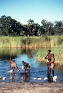 Botswana children wash in the Okauango Delta Msi Botswana children wash in the Okauango Delta Msi