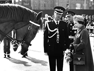 Bow for the Queen , a police horse shows his respect for Queen Elizabeth II as she Bow for the Queen , a police horse shows his respect for Queen Elizabeth II as she