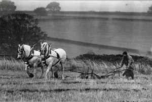 Brailsford Ploughing match 15th October 1987 Brailsford Ploughing match 15th October 1987
