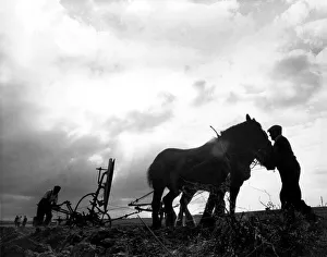 Brain Randle - Story from Trump of Taunton 18th World Ploughing Contest Brain Randle - Story from Trump of Taunton 18th World Ploughing Contest