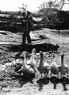 The bride and groom disturbed the geese on the village green when Lieut Charles Henry The bride and groom disturbed the geese on the village green when Lieut Charles Henry