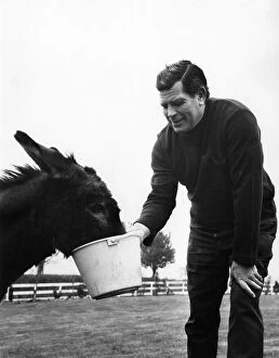 Images Dated 15th April 1971: British wrestler Count Bartelli feeding his horse April 1971 P005666