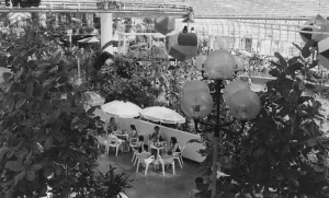 Cafe area overlooking the swimming pool at the Suncentre Cafe area overlooking the swimming pool at the Suncentre
