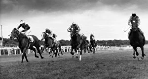 Images Dated 27th July 1987: Get Carter... and top jockey Steve Couthen couldn t at Gosforth Park