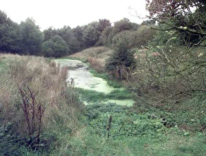 The Castle Moat in Hartshill, near Nuneaton in Warwickshire The Castle Moat in Hartshill, near Nuneaton in Warwickshire