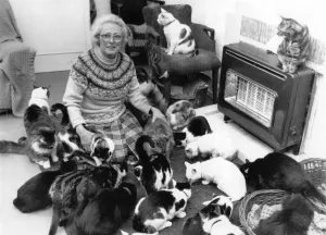 Cats Galore Sylvia Phillips with a few of her friends Cats Galore Sylvia Phillips with a few of her friends
