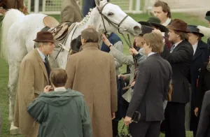 Champion racehorse Desert Orchid after taking first place in the Gold Cup race at Champion racehorse Desert Orchid after taking first place in the Gold Cup race at