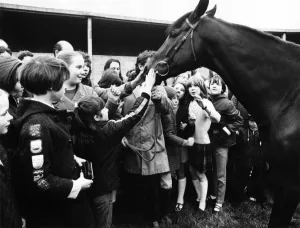 Champion racehorse Mill Reef makes his farewell appearance at Kingsclere Champion racehorse Mill Reef makes his farewell appearance at Kingsclere
