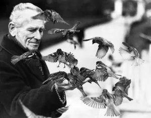 Charles Handley charms birds out of trees. He simply stands there Charles Handley charms birds out of trees. He simply stands there