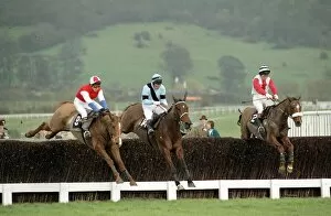 Images Dated 22nd March 1990: Cheltenham Festival 1990. Gold Cup Race won by 100 / 1 outsider Nortons Coin