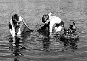Children with Ducks Two boys fishing with a towel as a net - encounter a family of Children with Ducks Two boys fishing with a towel as a net - encounter a family of