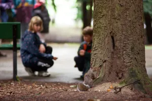 Children looking for squirrels at the Squirrel Hunt, Stewart Park Children looking for squirrels at the Squirrel Hunt, Stewart Park