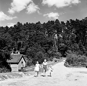 Children playing in the hamlet of Friday Street in Surrey. 28th August 1952 Children playing in the hamlet of Friday Street in Surrey. 28th August 1952