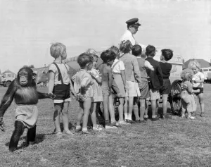 Children queue with their Chimpanzee friend for an ice cream at Billy Smart Circus Children queue with their Chimpanzee friend for an ice cream at Billy Smart Circus