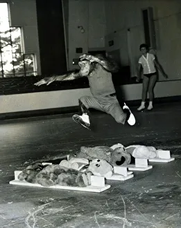 Chimpanzee leaps over a row of large teddy bears. June 1960 Chimpanzee leaps over a row of large teddy bears. June 1960