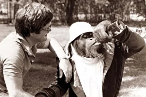 Chimpanzee wearing a man's jacket, jumper and hat drinking from a bottle - when his Chimpanzee wearing a man's jacket, jumper and hat drinking from a bottle - when his