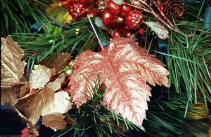 Christmas Tree feature December 1997 Gold sprayed leaf for Gold and Fruit tree Christmas Tree feature December 1997 Gold sprayed leaf for Gold and Fruit tree