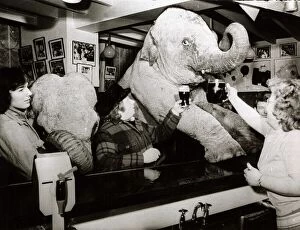 Images Dated 1st April 1974: Circus elephants Maureen and Rebecca pop in to their local pub - the Stirling Castle in