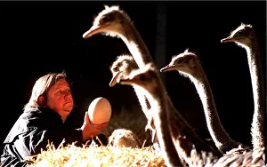 Clarissa Dickson-Wright with some of her ostriches holding egg Clarissa Dickson-Wright with some of her ostriches holding egg