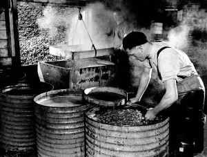 Cockle Industry Leigh on Sea, Essex. May 1938 Cockle Industry Leigh on Sea, Essex. May 1938